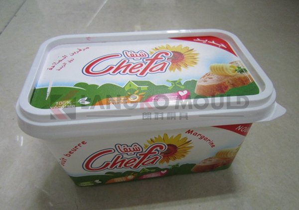 thin-wall ice-cream box moulds molding 
