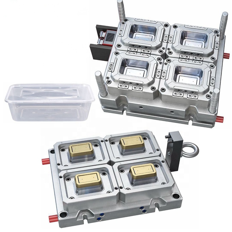 Injection Container Mould Box Mold Storage Food Fruit Vegetable High Quality
